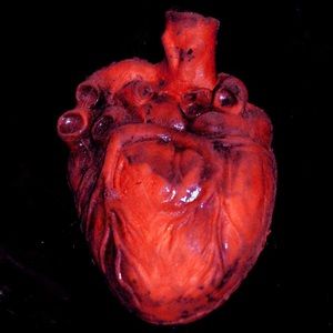 Meet your Posher, Lucio